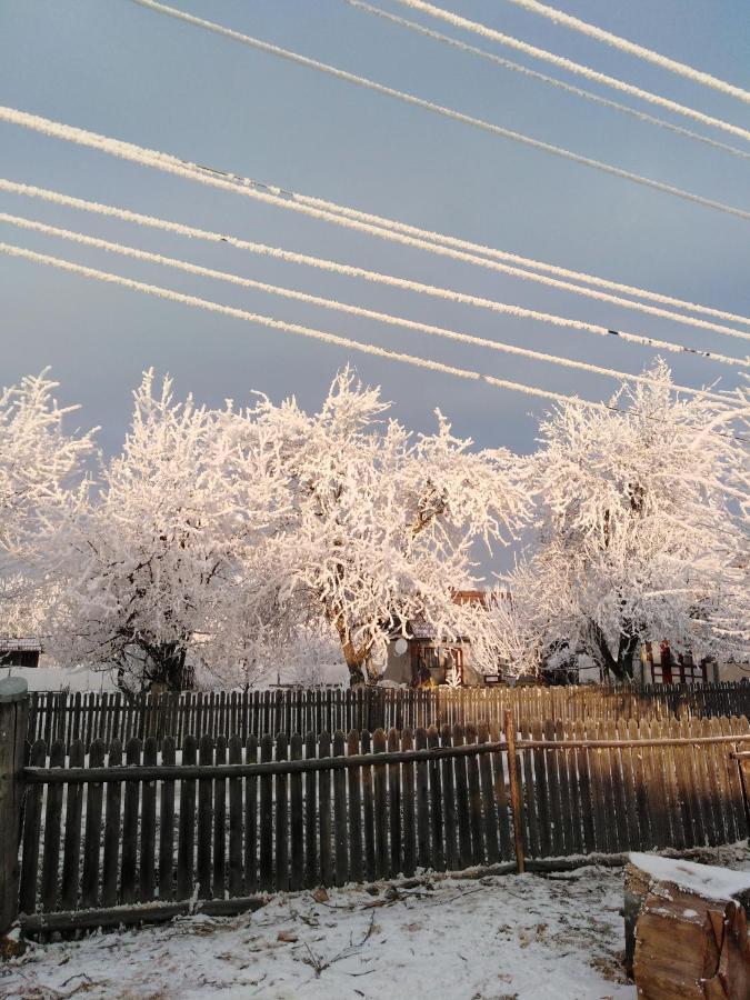 Casa Traditionala Subcetate Subcetate  Екстериор снимка